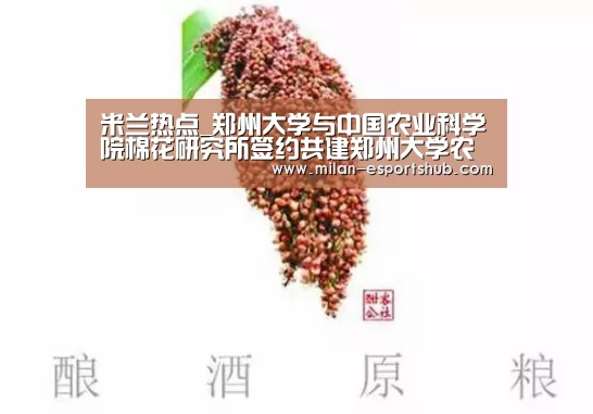 米兰热点