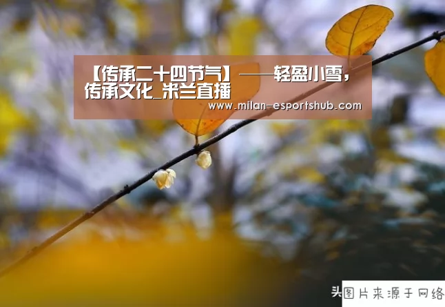 【传承二十四节气】——轻盈小雪,传承文化_米兰直播(图3) 米兰直播