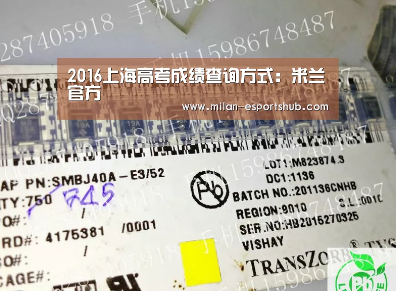 2016上海高考成绩查询方式:米兰官方(图2) 米兰热点