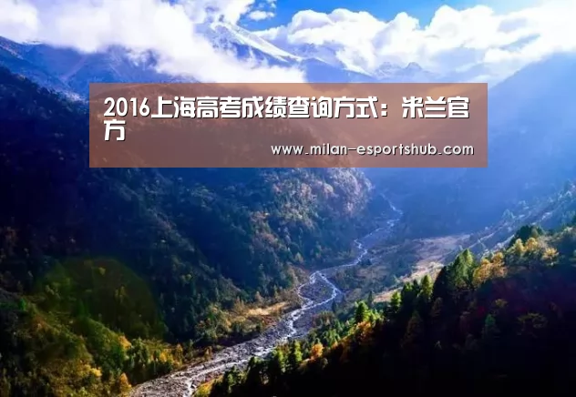 2016上海高考成绩查询方式:米兰官方(图4) 米兰热点