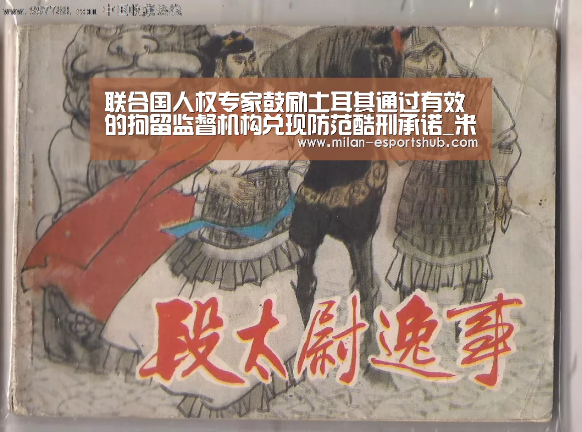 联合国人权专家鼓励土耳其通过有效的拘留监督机构兑现防范酷刑承诺_米兰热点(图1) 米兰热点
