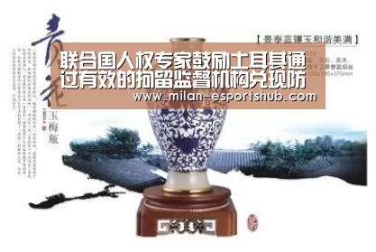 联合国人权专家鼓励土耳其通过有效的拘留监督机构兑现防范酷刑承诺_米兰热点(图4) 米兰游戏