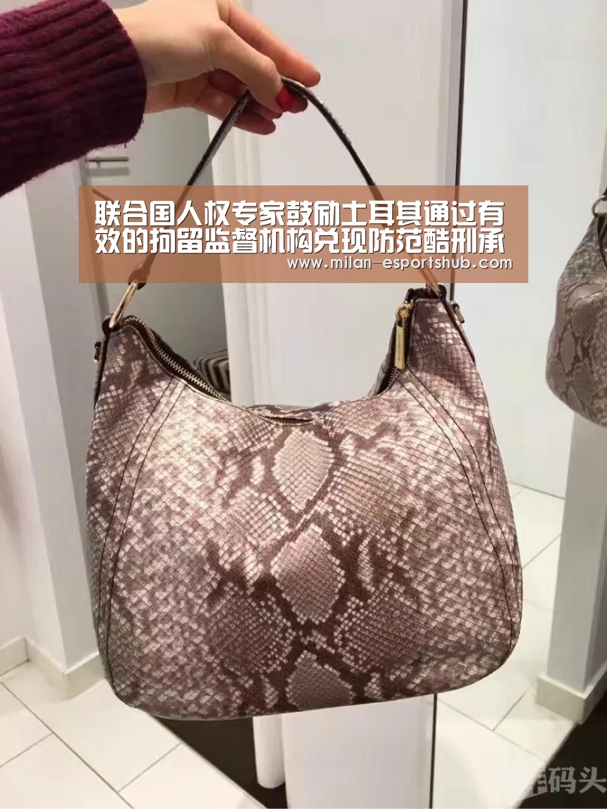 联合国人权专家鼓励土耳其通过有效的拘留监督机构兑现防范酷刑承诺_米兰热点(图3) 米兰游戏