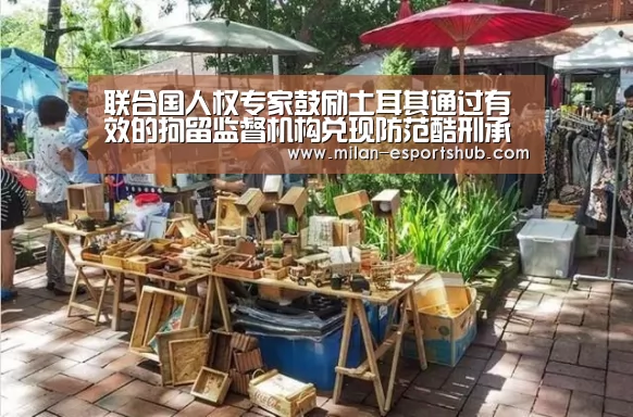 联合国人权专家鼓励土耳其通过有效的拘留监督机构兑现防范酷刑承诺_米兰热点(图2) 米兰游戏