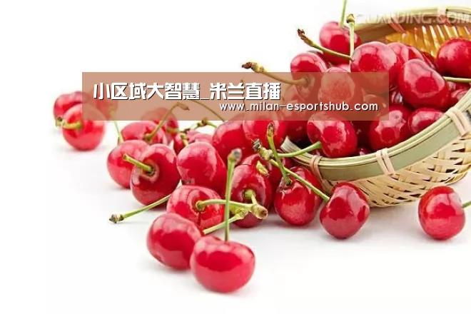 小区域大智慧_米兰直播(图1) 米兰热点