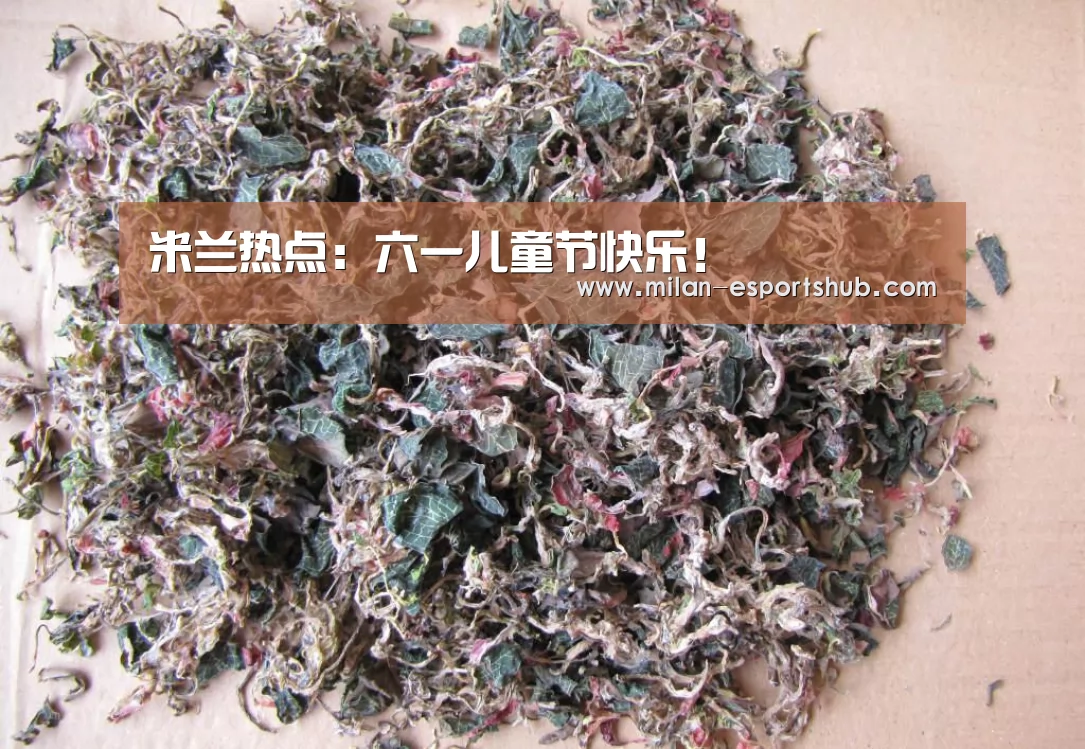 米兰游戏