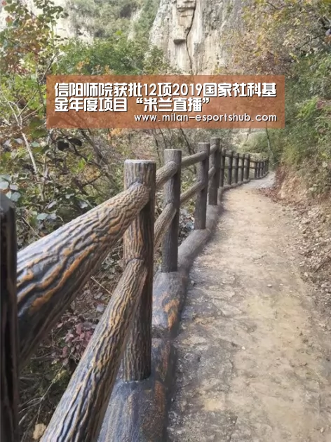 信阳师院获批12项2019国家社科基金年度项目“米兰直播”(图4) 米兰官方