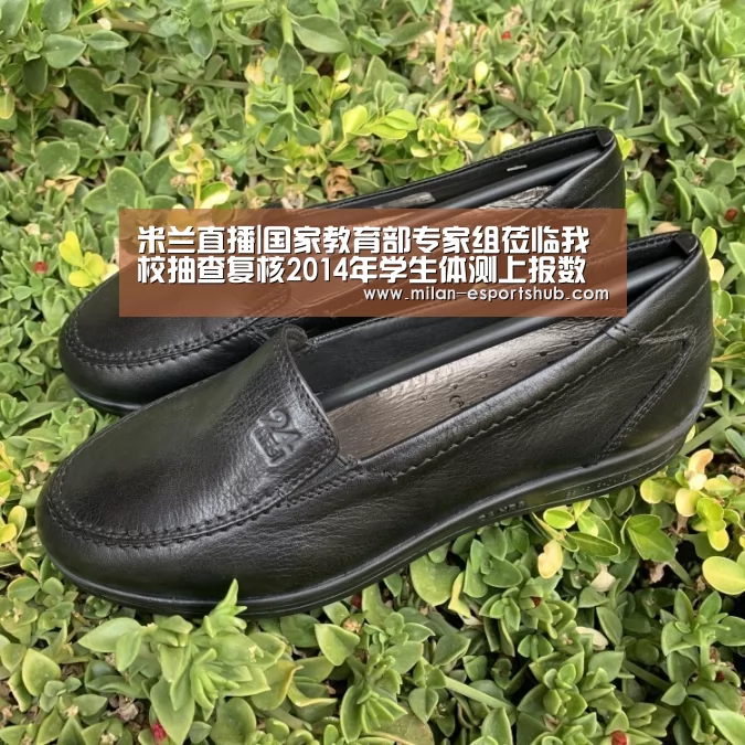 米兰游戏