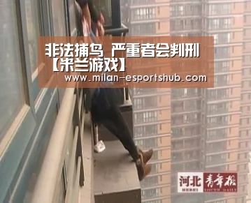 非法捕鸟 严重者会判刑【米兰游戏】(图1) 米兰游戏